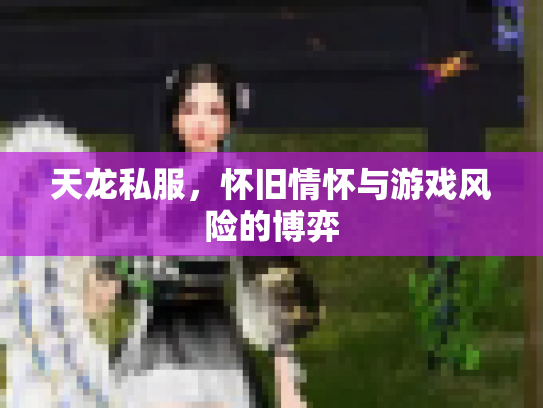 天龙私服，怀旧情怀与游戏风险的博弈