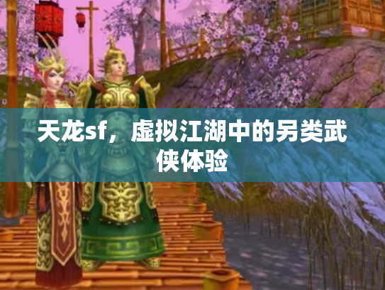 天龙sf，虚拟江湖中的另类武侠体验