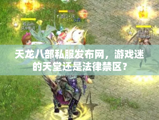 天龙八部私服发布网，游戏迷的天堂还是法律禁区？