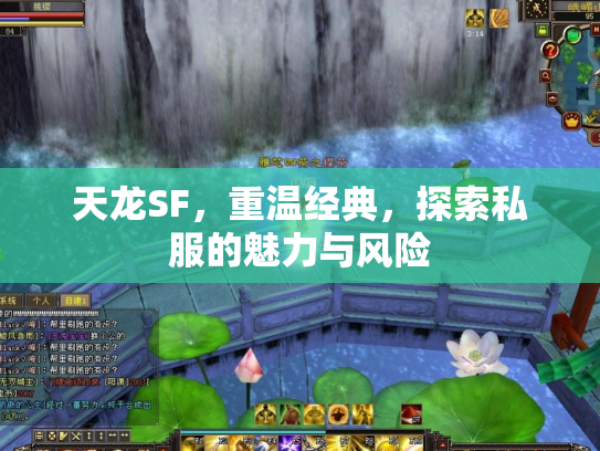 天龙SF，重温经典，探索私服的魅力与风险
