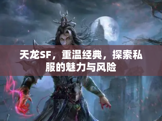 天龙SF，重温经典，探索私服的魅力与风险