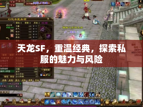 天龙SF，重温经典，探索私服的魅力与风险