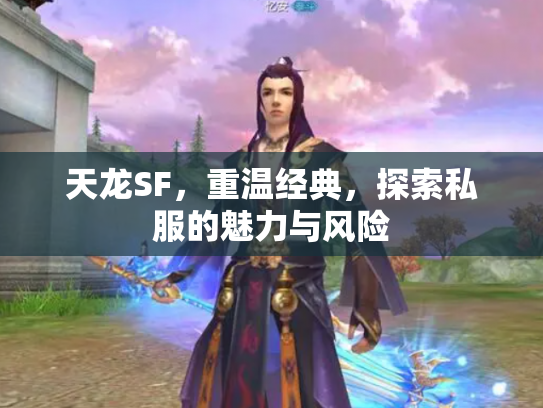 天龙SF，重温经典，探索私服的魅力与风险
