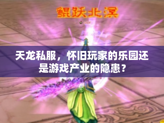 天龙私服，怀旧玩家的乐园还是游戏产业的隐患？