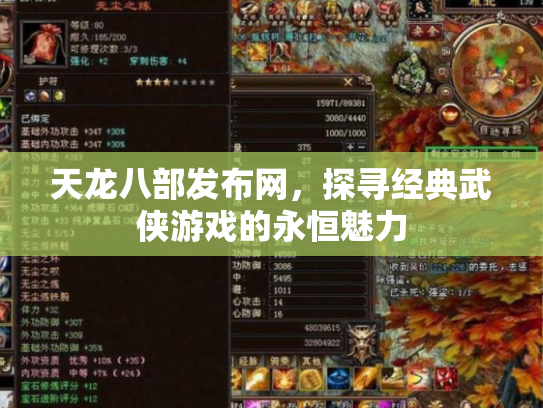 天龙八部发布网，探寻经典武侠游戏的永恒魅力