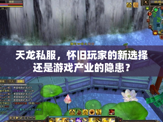 天龙私服，怀旧玩家的新选择还是游戏产业的隐患？