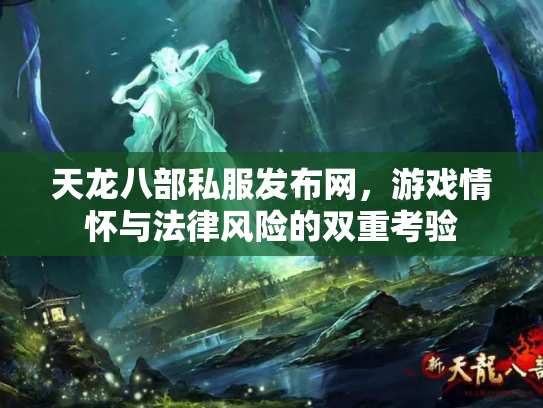 天龙八部私服发布网，游戏情怀与法律风险的双重考验