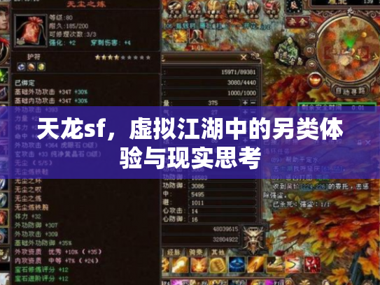 天龙sf，虚拟江湖中的另类体验与现实思考