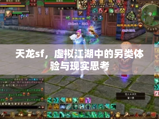 天龙sf，虚拟江湖中的另类体验与现实思考