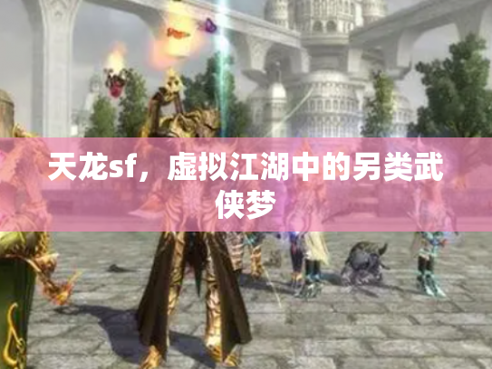 天龙sf，虚拟江湖中的另类武侠梦