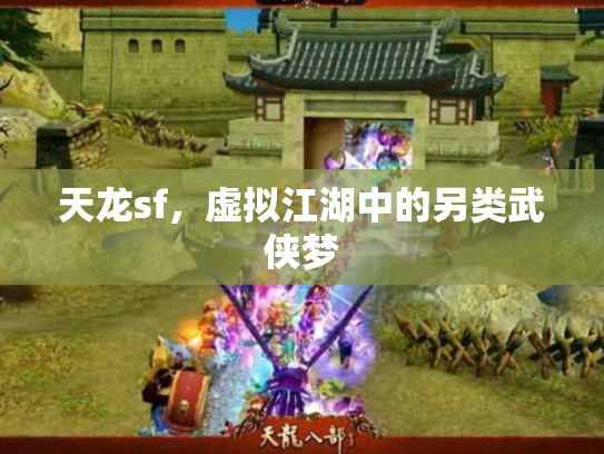 天龙sf，虚拟江湖中的另类武侠梦