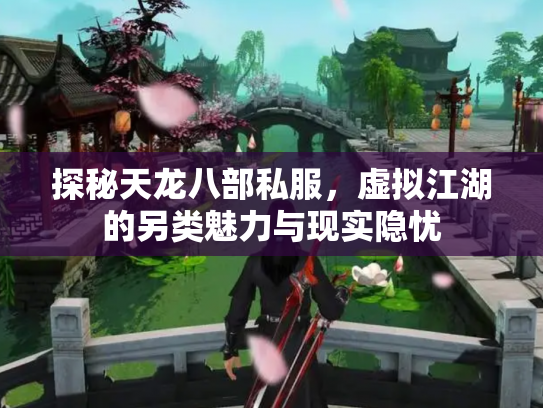 探秘天龙八部私服，虚拟江湖的另类魅力与现实隐忧