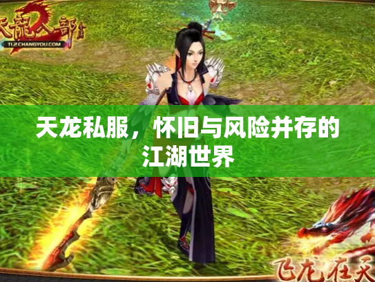 天龙私服，怀旧与风险并存的江湖世界
