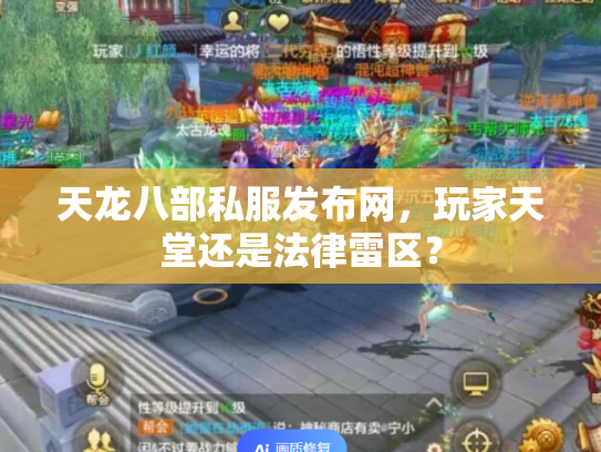 天龙八部私服发布网，玩家天堂还是法律雷区？