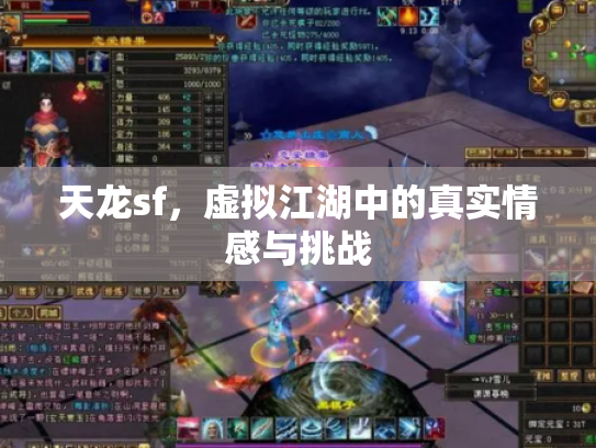 天龙sf，虚拟江湖中的真实情感与挑战