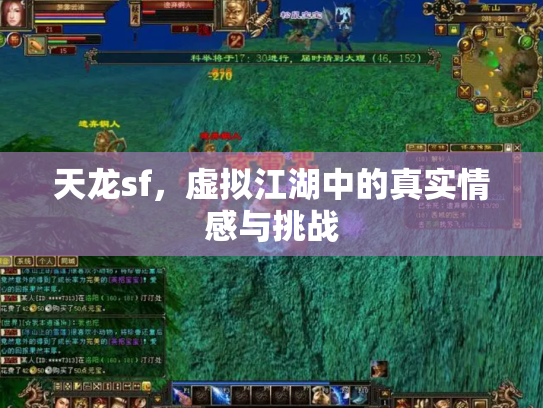 天龙sf，虚拟江湖中的真实情感与挑战