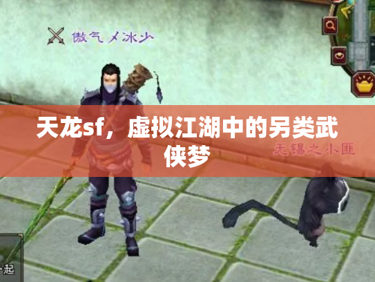 天龙sf，虚拟江湖中的另类武侠梦