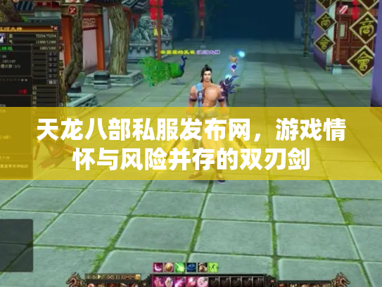 天龙八部私服发布网，游戏情怀与风险并存的双刃剑