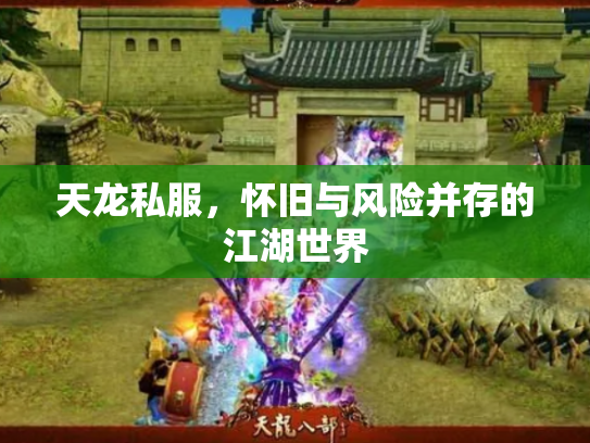 天龙私服，怀旧与风险并存的江湖世界