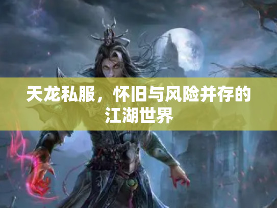 天龙私服，怀旧与风险并存的江湖世界