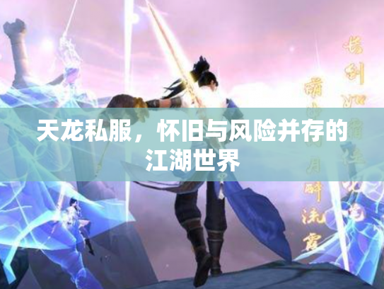 天龙私服，怀旧与风险并存的江湖世界