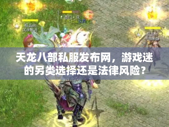 天龙八部私服发布网，游戏迷的另类选择还是法律风险？