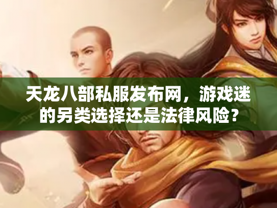 天龙八部私服发布网，游戏迷的另类选择还是法律风险？