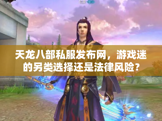 天龙八部私服发布网，游戏迷的另类选择还是法律风险？