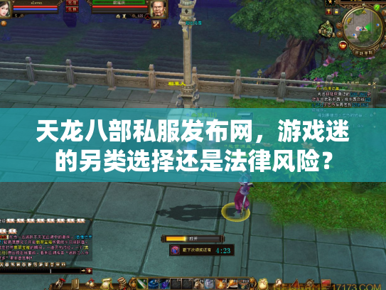 天龙八部私服发布网，游戏迷的另类选择还是法律风险？