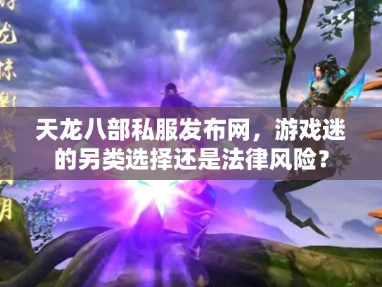 天龙八部私服发布网，游戏迷的另类选择还是法律风险？