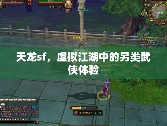 天龙sf，虚拟江湖中的另类武侠体验