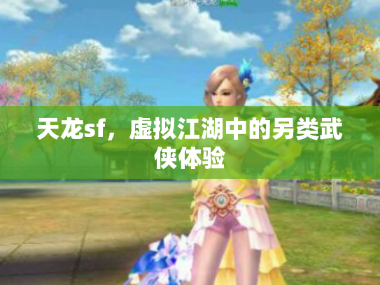 天龙sf，虚拟江湖中的另类武侠体验