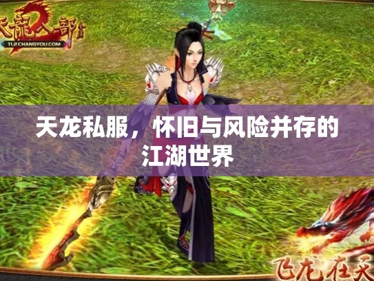 天龙私服，怀旧与风险并存的江湖世界