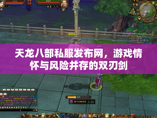 天龙八部私服发布网，游戏情怀与风险并存的双刃剑