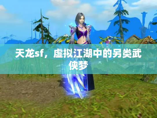 天龙sf，虚拟江湖中的另类武侠梦