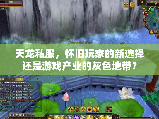 天龙私服，怀旧玩家的新选择还是游戏产业的灰色地带？