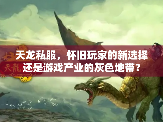 天龙私服，怀旧玩家的新选择还是游戏产业的灰色地带？