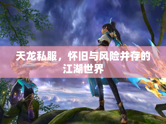 天龙私服，怀旧与风险并存的江湖世界