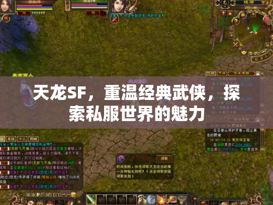 天龙SF，重温经典武侠，探索私服世界的魅力