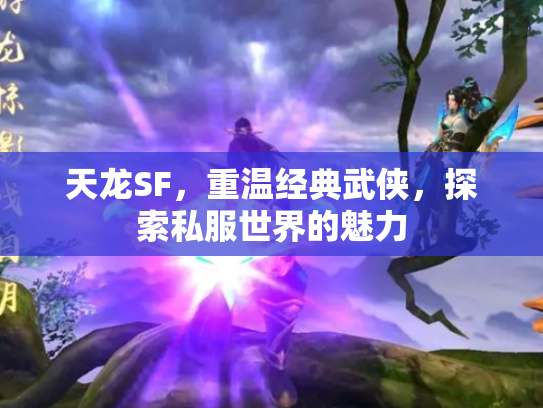 天龙SF，重温经典武侠，探索私服世界的魅力
