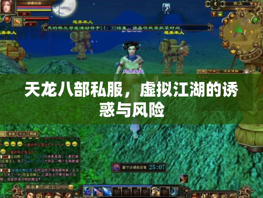 天龙八部私服，虚拟江湖的诱惑与风险