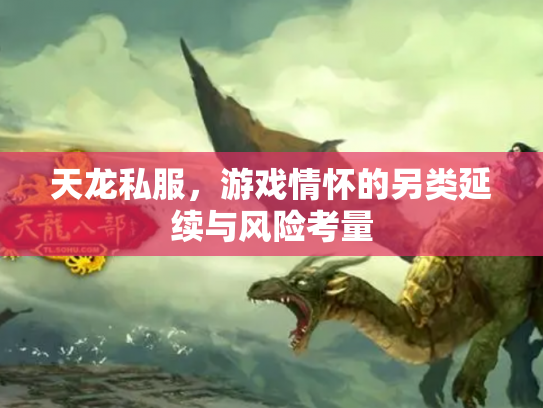 天龙私服，游戏情怀的另类延续与风险考量