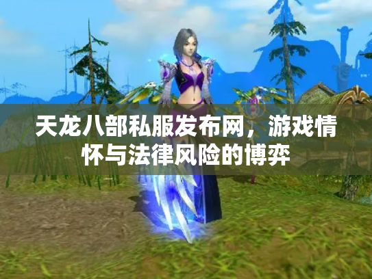 天龙八部私服发布网，游戏情怀与法律风险的博弈
