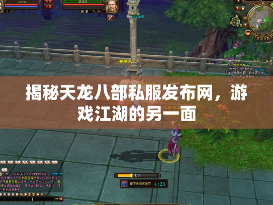 揭秘天龙八部私服发布网，游戏江湖的另一面