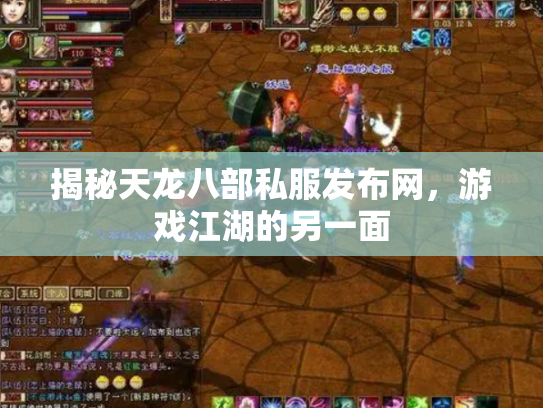 揭秘天龙八部私服发布网，游戏江湖的另一面