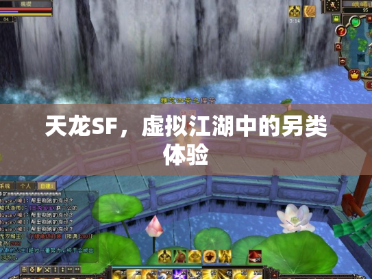 天龙SF，虚拟江湖中的另类体验