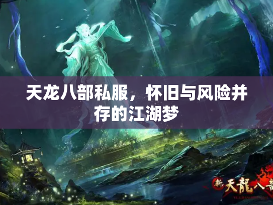 天龙八部私服，怀旧与风险并存的江湖梦