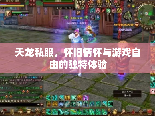天龙私服，怀旧情怀与游戏自由的独特体验