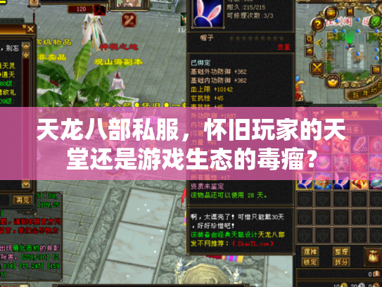 天龙八部私服，怀旧玩家的天堂还是游戏生态的毒瘤？