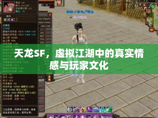 天龙SF，虚拟江湖中的真实情感与玩家文化